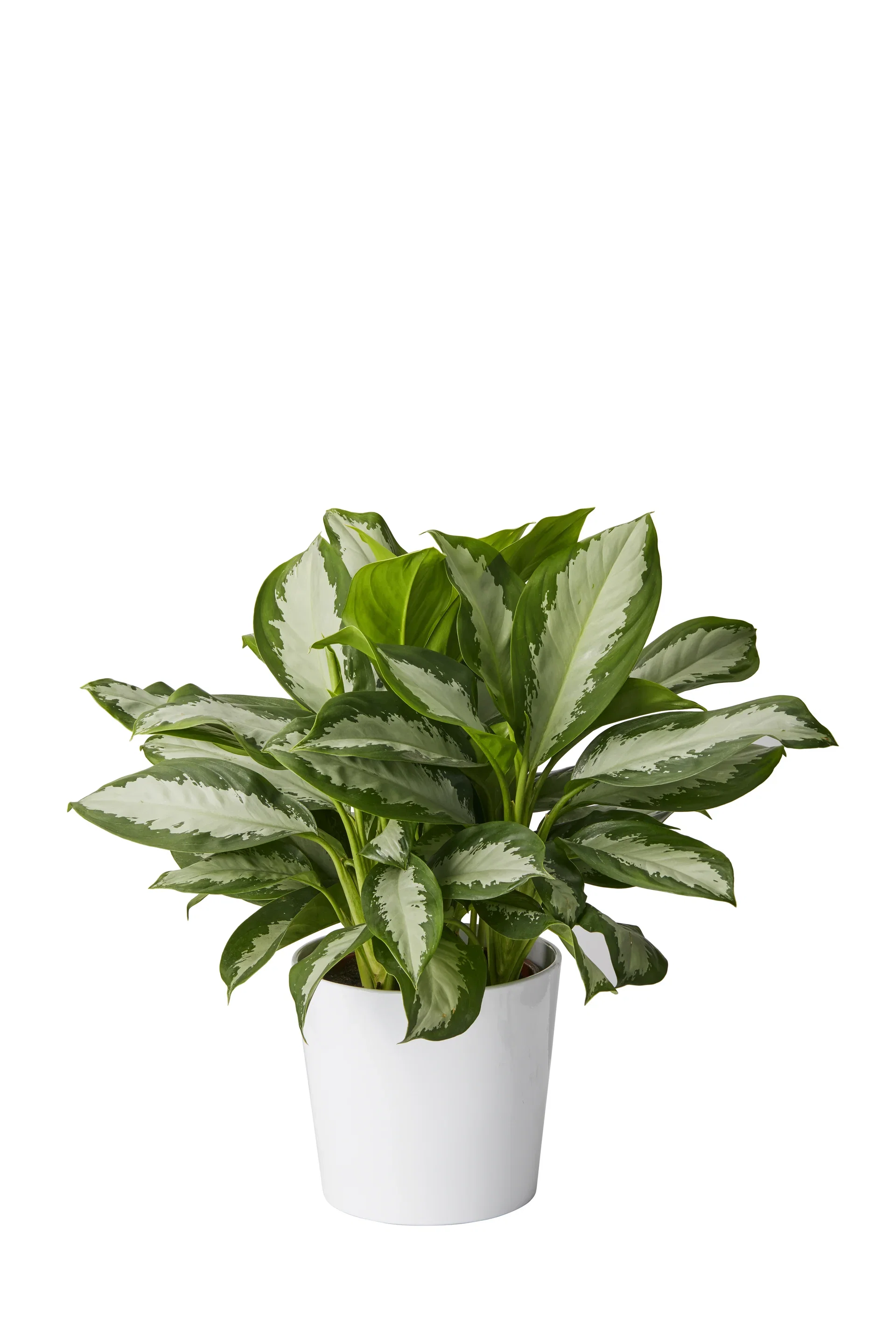 Plantagen Potte Harmoni Ø29 cm
