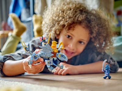 LEGO Jonge draak Riyu (71810)