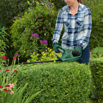 Bosch heggenschaar EasyHedgeCut 55cm