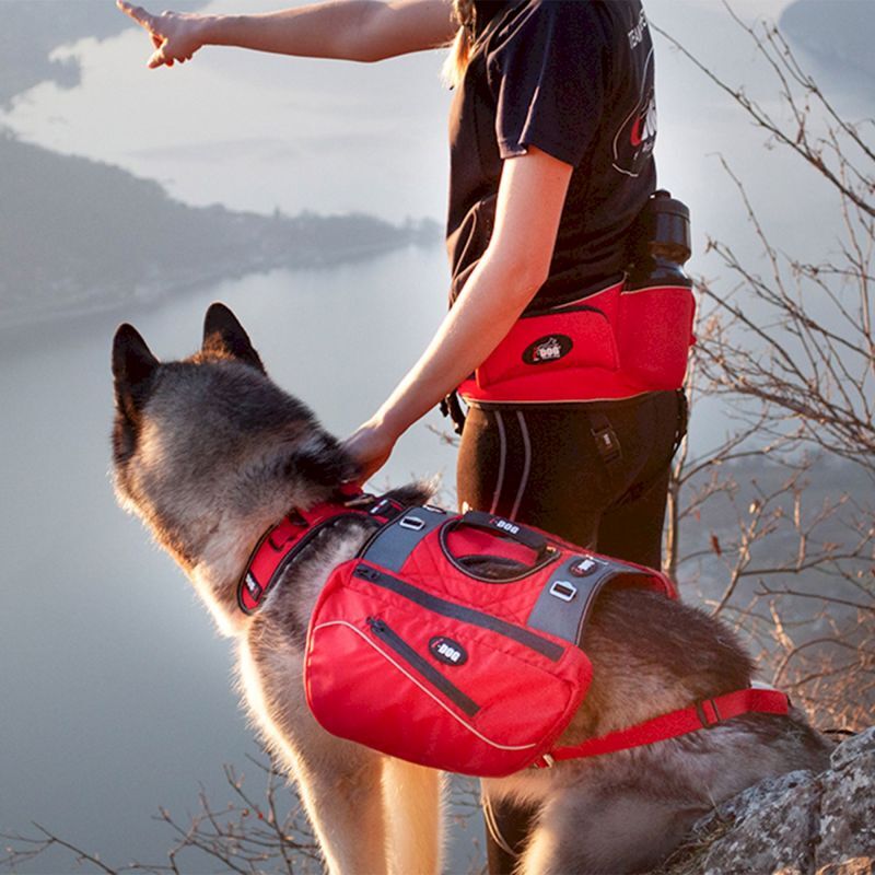 Confort Trek - Sac à dos pour chien randonnée