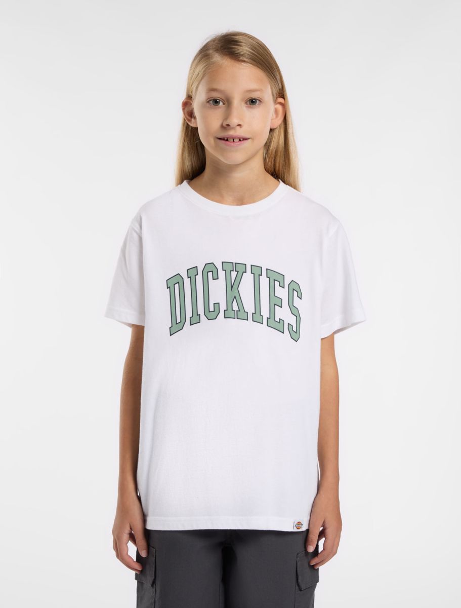 Dickies Youth Aitkin Tee SS Country Blue