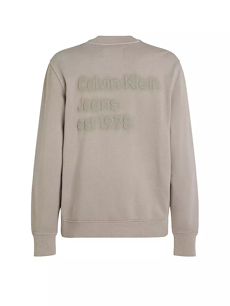 CALVIN KLEIN JEANS Sweater grau