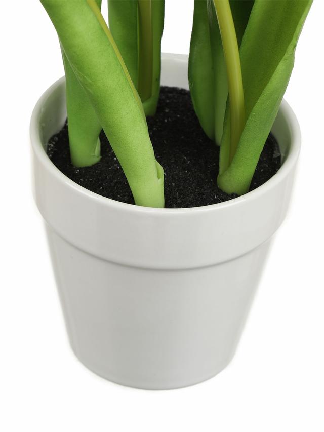 5 Tulpen im Keramiktopf, 2er Set