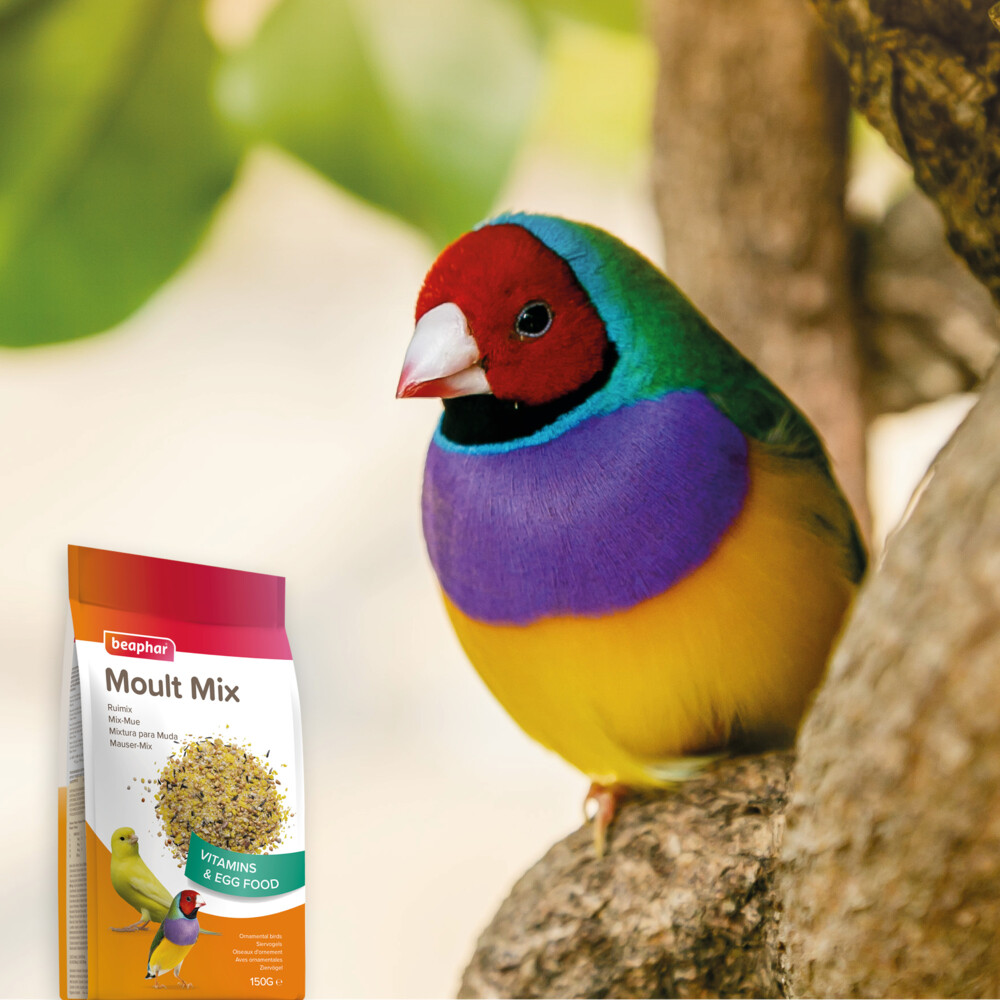 Beaphar Ruimix 150 gr