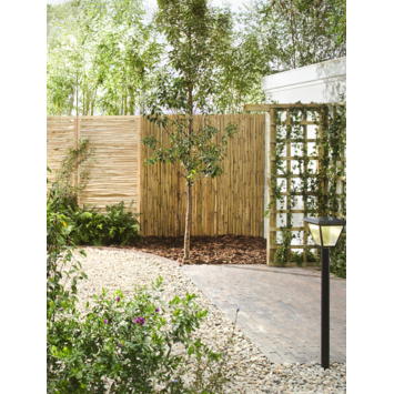 Schutting bamboe hout naturel 180 x 180 cm