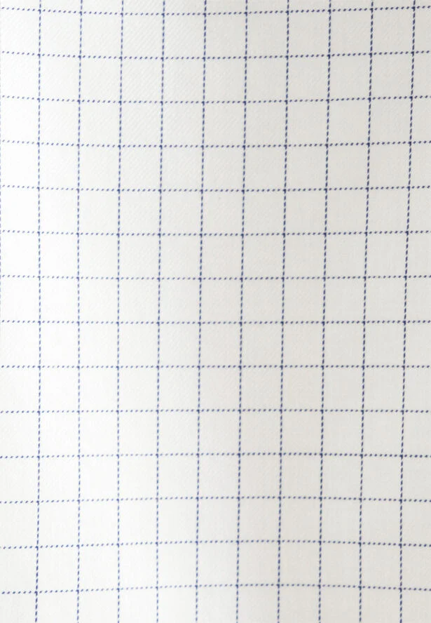 Seidensticker Business Shirt Slim Long sleeve Kent-Collar Check Blue
