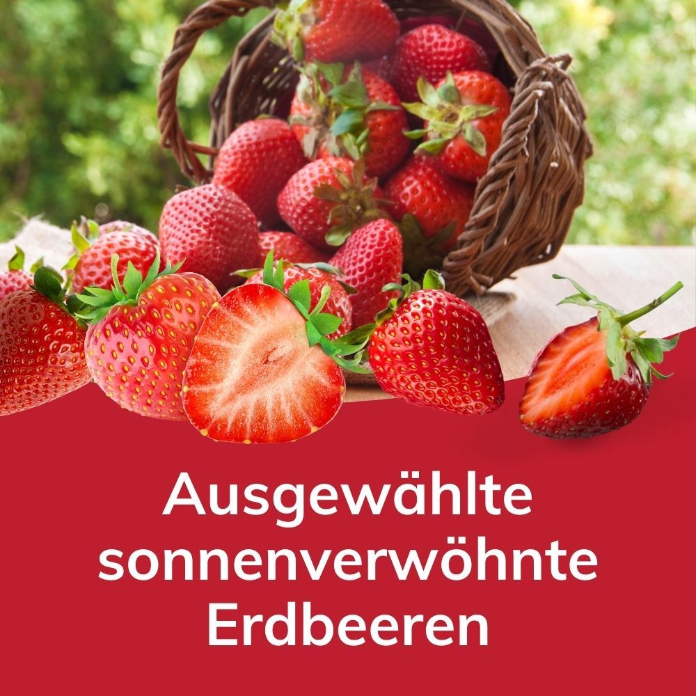 Laibmann's Zuckerarme Fruchtaufstriche -  Spar-Paket