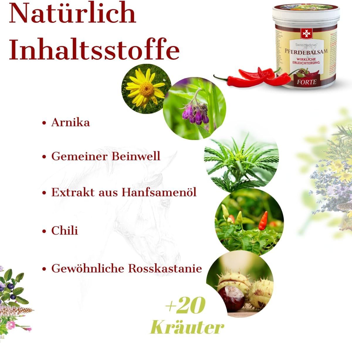 SwissMedicus Pferdebalsam  FORTE