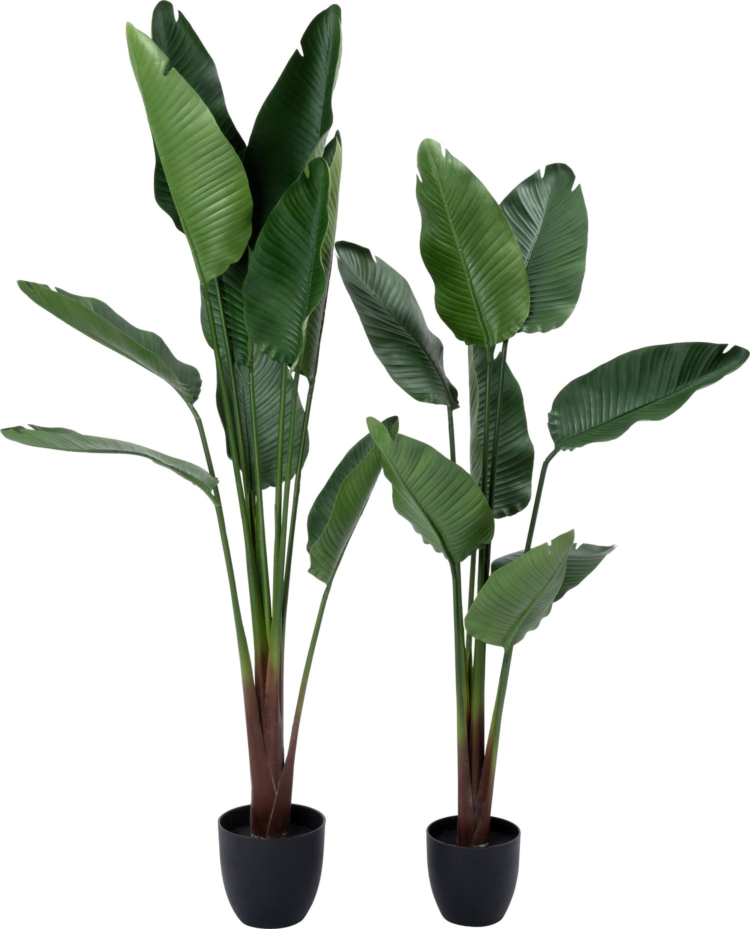Intratuin kunstplant Strelitzia groen 95 x 95 x 185 cm