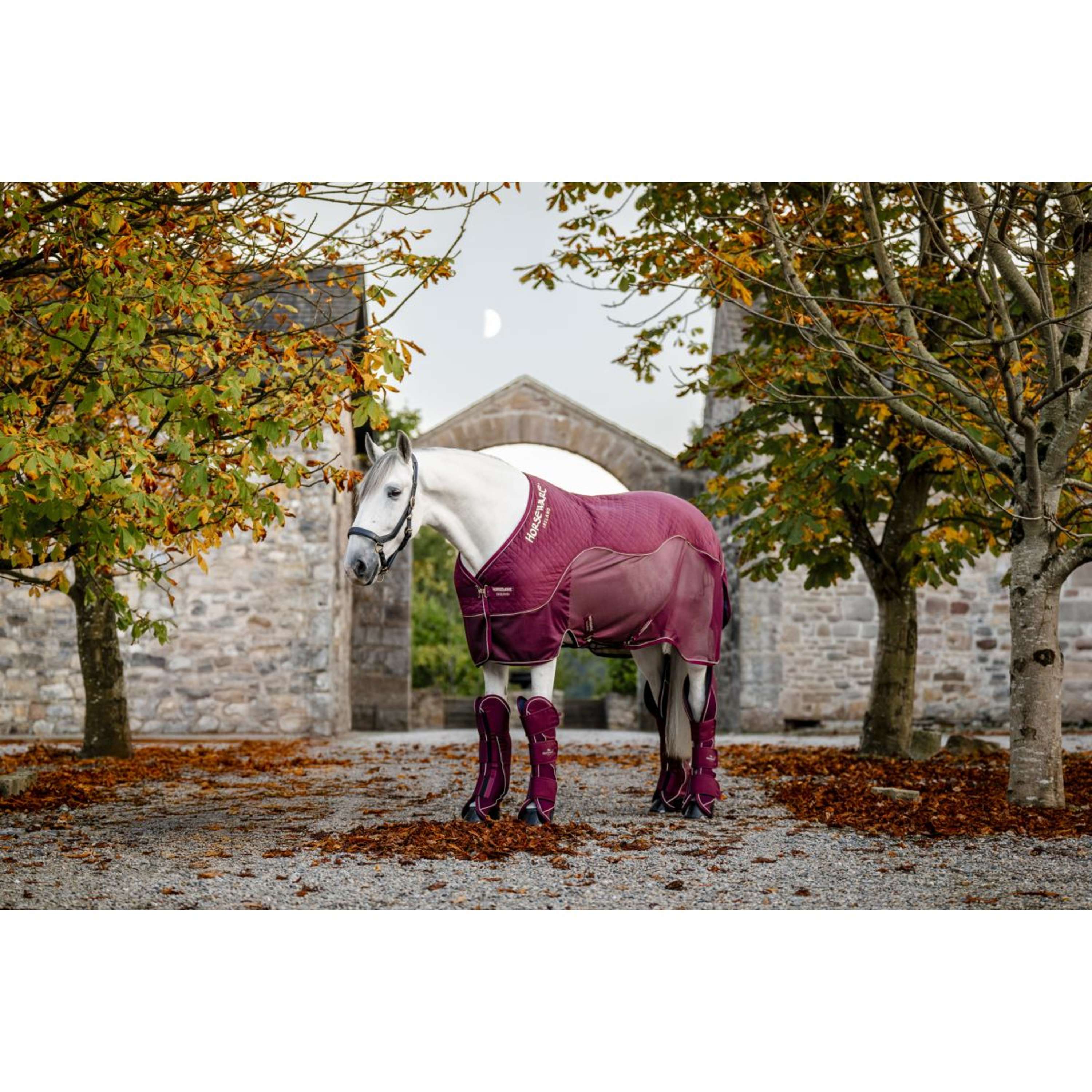 Horseware Travel Cooler Signature Burgundy