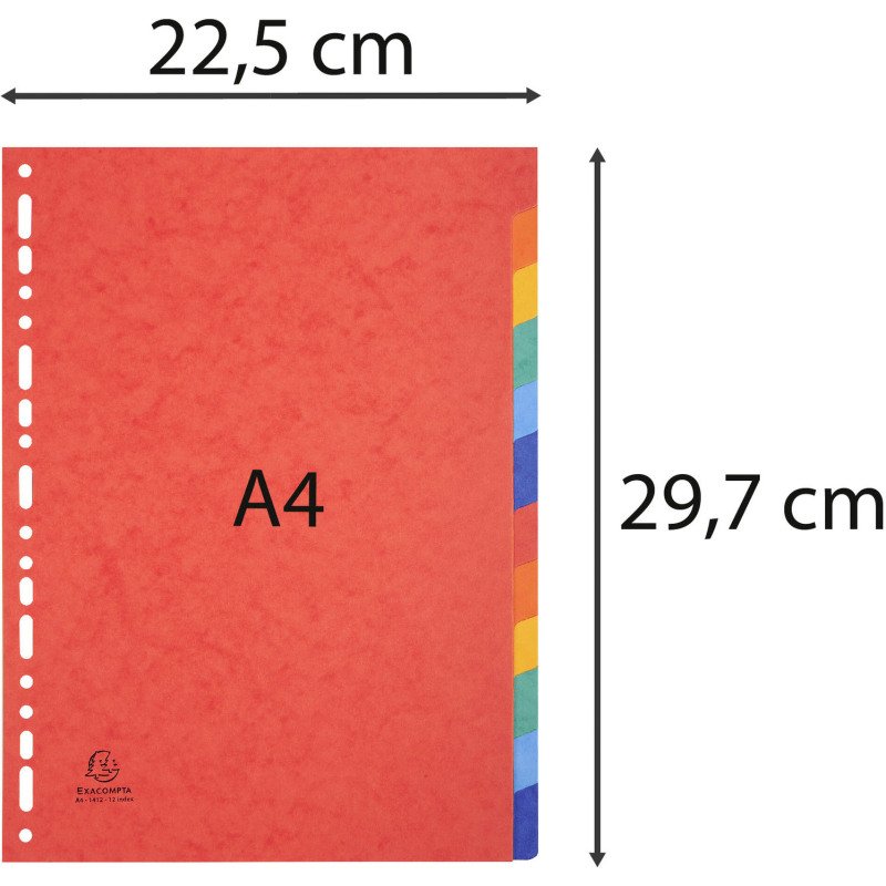 Intercalaires A4 carte lustrée colorée Exacompta 12 onglets neutres - 1 jeu