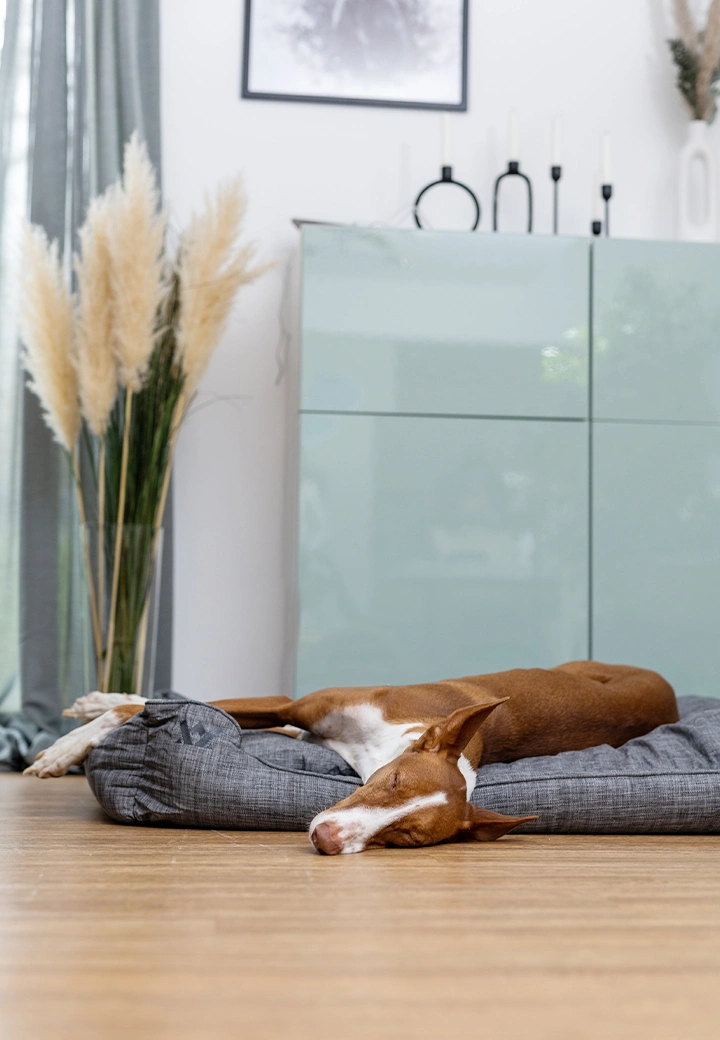 Vet-Concept Hundebett