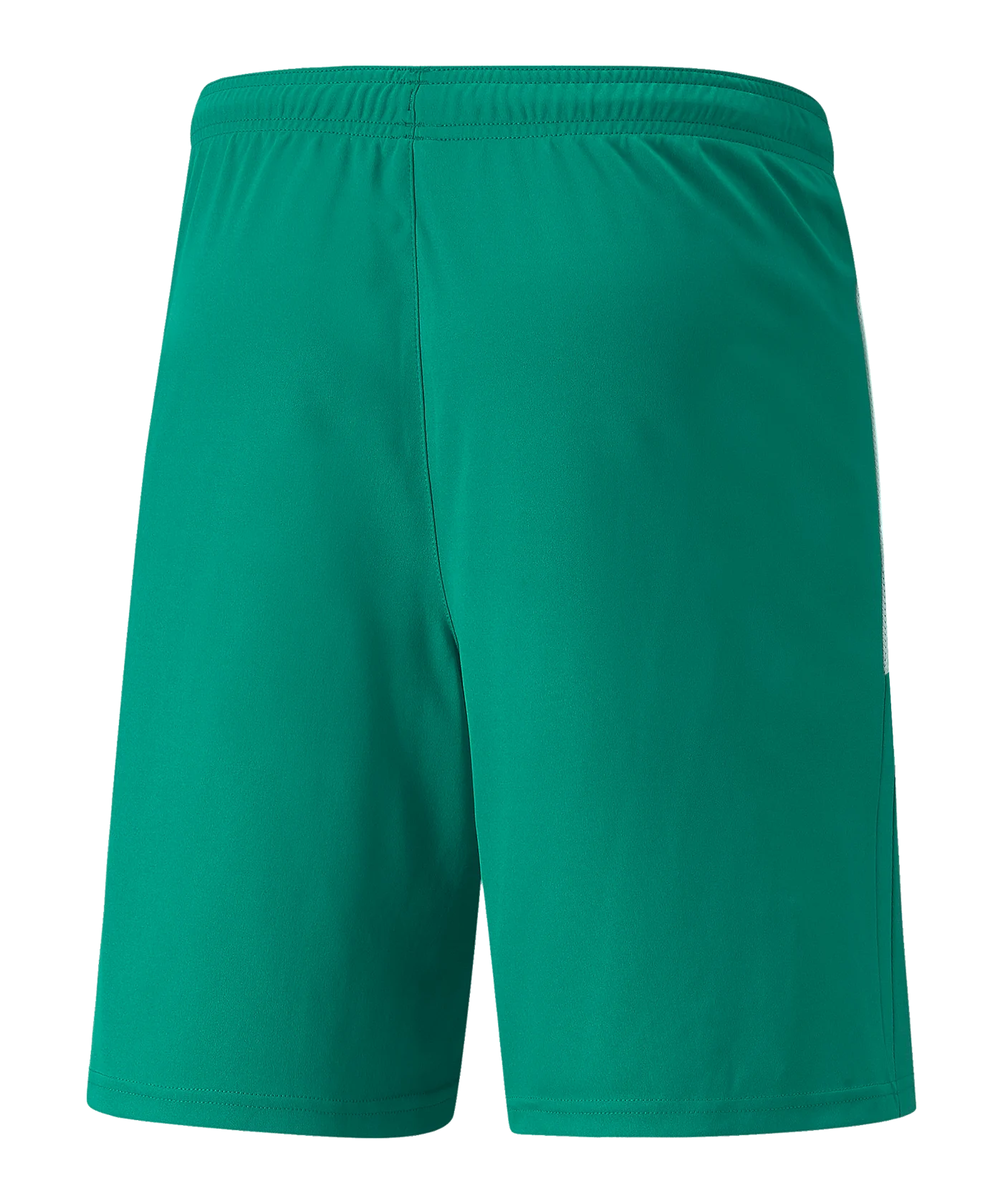 PUMA teamLIGA Short Grün Weiss F05