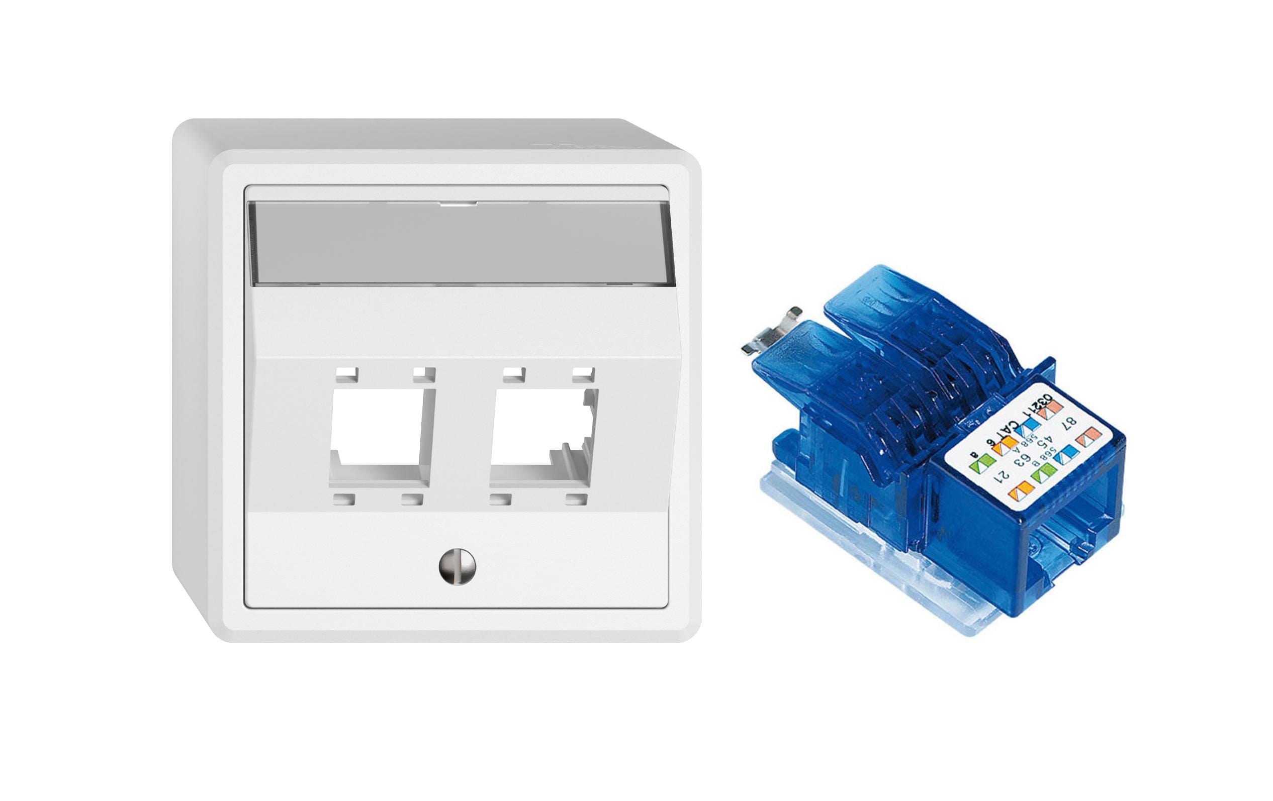 AP-Netzwerkdose 2 x RJ45AP-Montageset R+M freenet mit Anschlussmodul R&M freenet Cat. 6, 1x RJ45 ungeschirmt