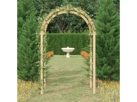Arche 141x97x243 cm Bois de pin massif imprégné