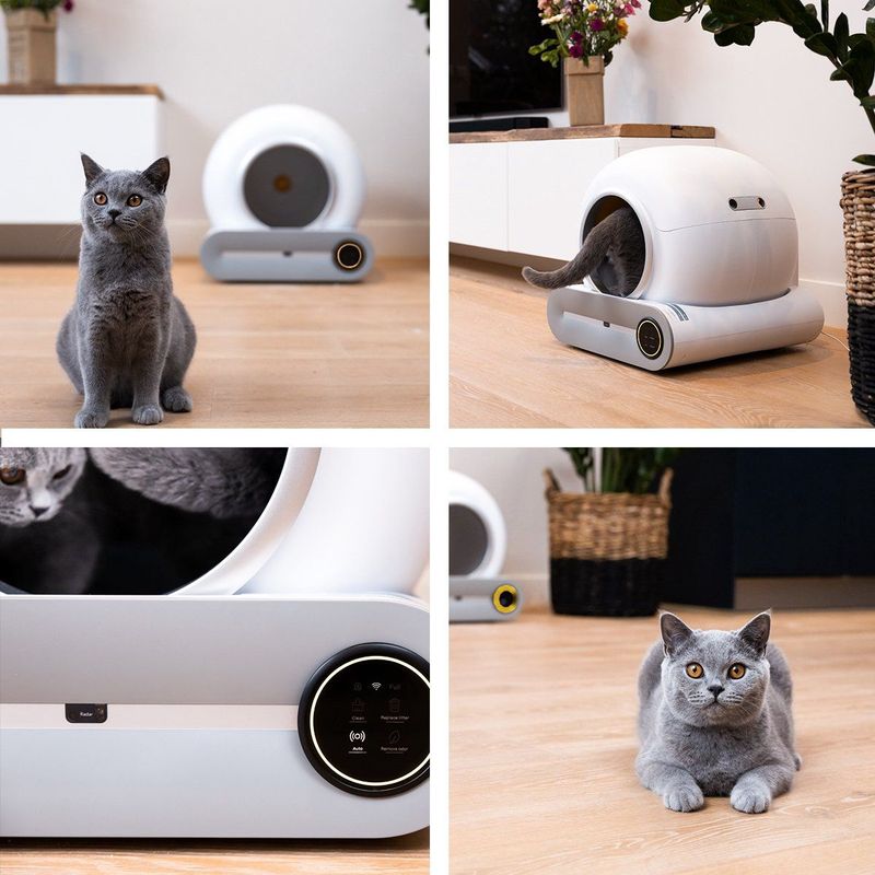 Cellavi - Automatische Kattenbak - Zelfreinigend - XXL - 65L