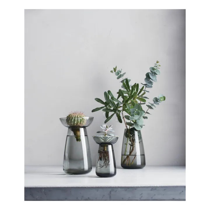 Kinto Vase en verre Aquaculture | Gris