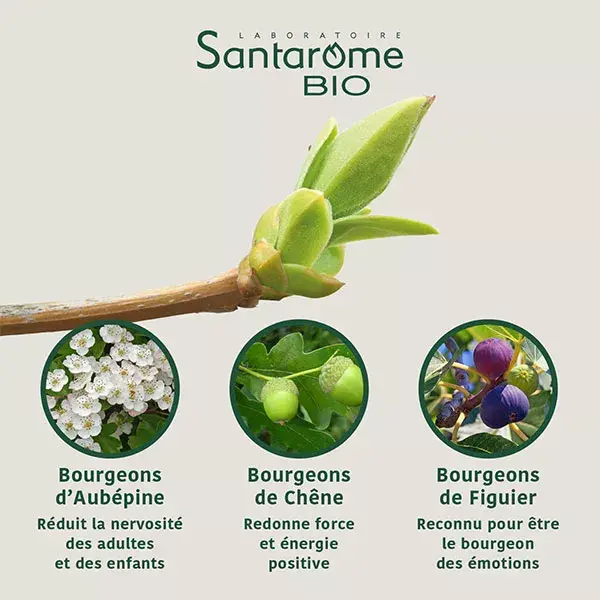 Santarome Bio - Tri Complexo de Botões Orgânicos Estressados - Frasco de 30ml