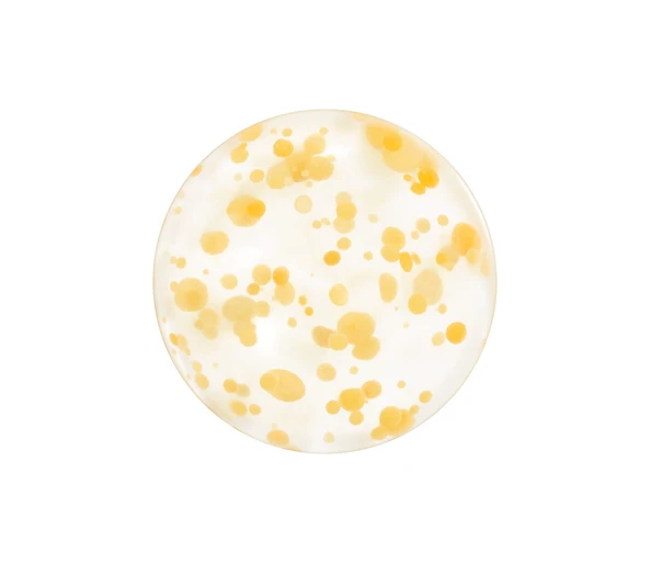 Shiseido YUZU-C Beauty Sleeping Mask Refill