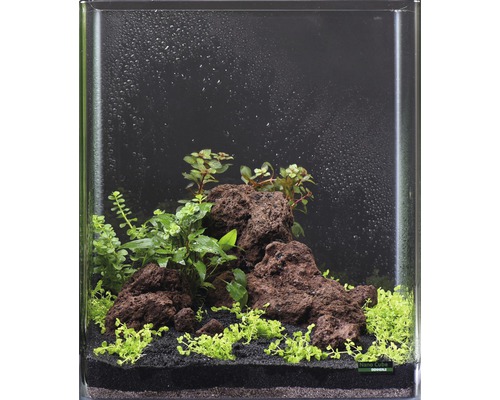 Aquarium waterplantenpakket XS 