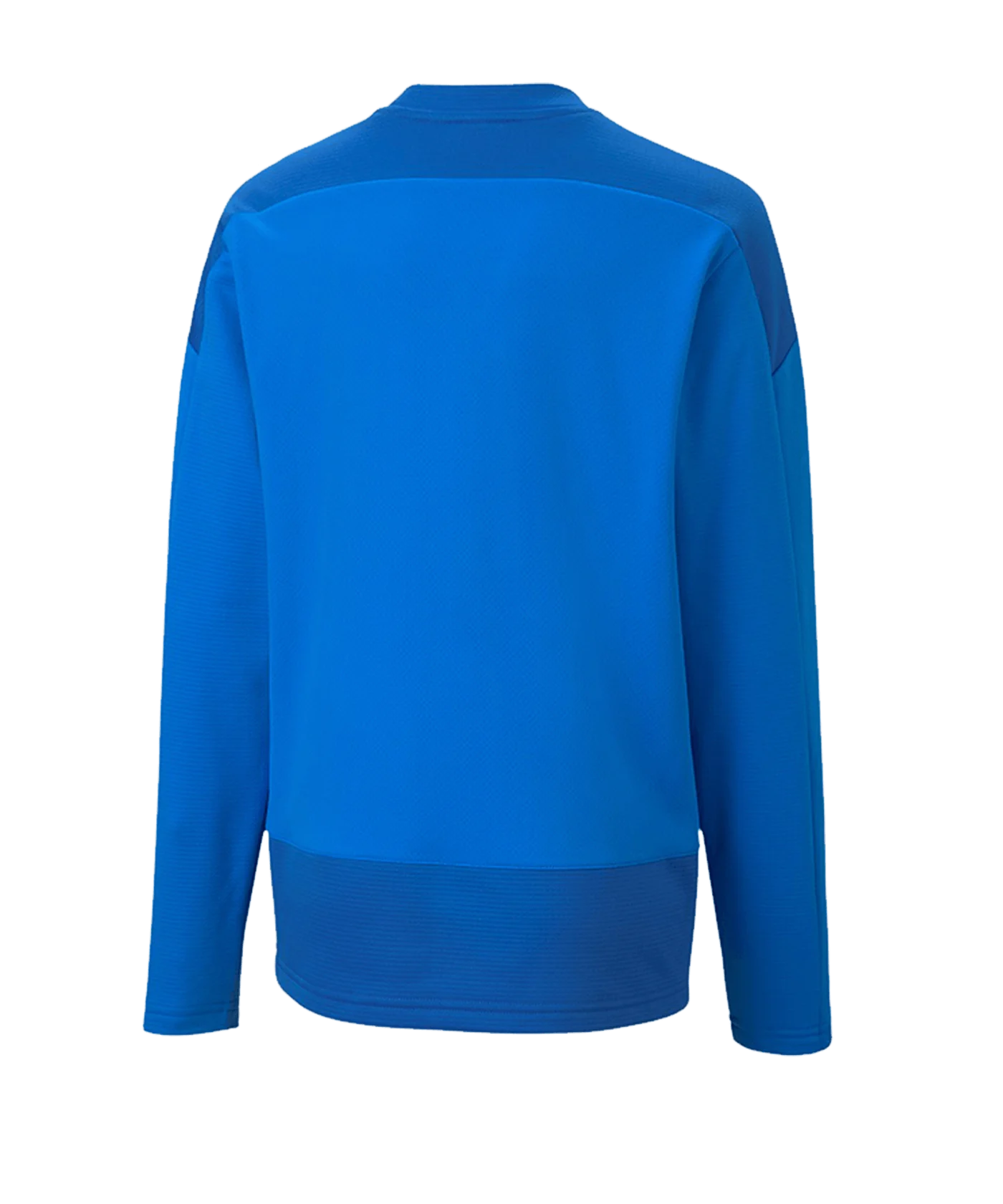 PUMA teamGOAL 23 Training Sweatshirt Kids Blau F02