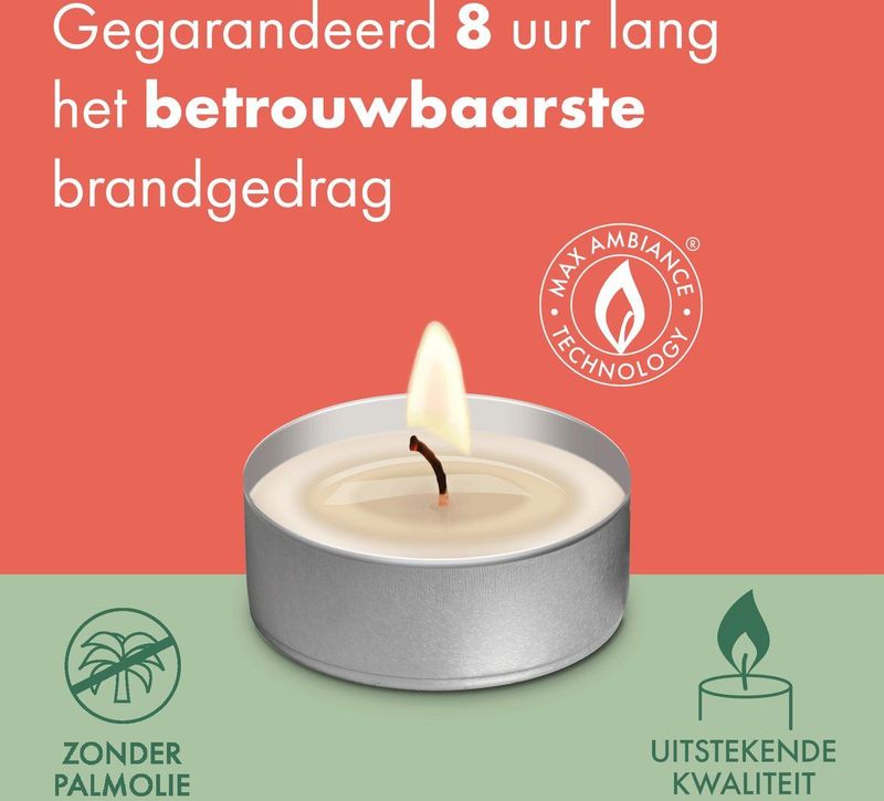 Bolsius - Grootverpakking Waxinelichtjes - Wit - 225 Stuks - 8 Branduren
