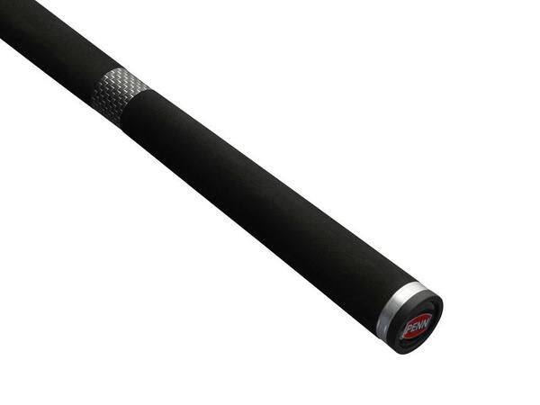 Canne Mer Penn Squadron IV Light Pilk (80-120g)