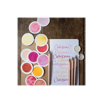 Schneider Callissima - Coffret cadeau avec stylo et différentes plumes - abricot