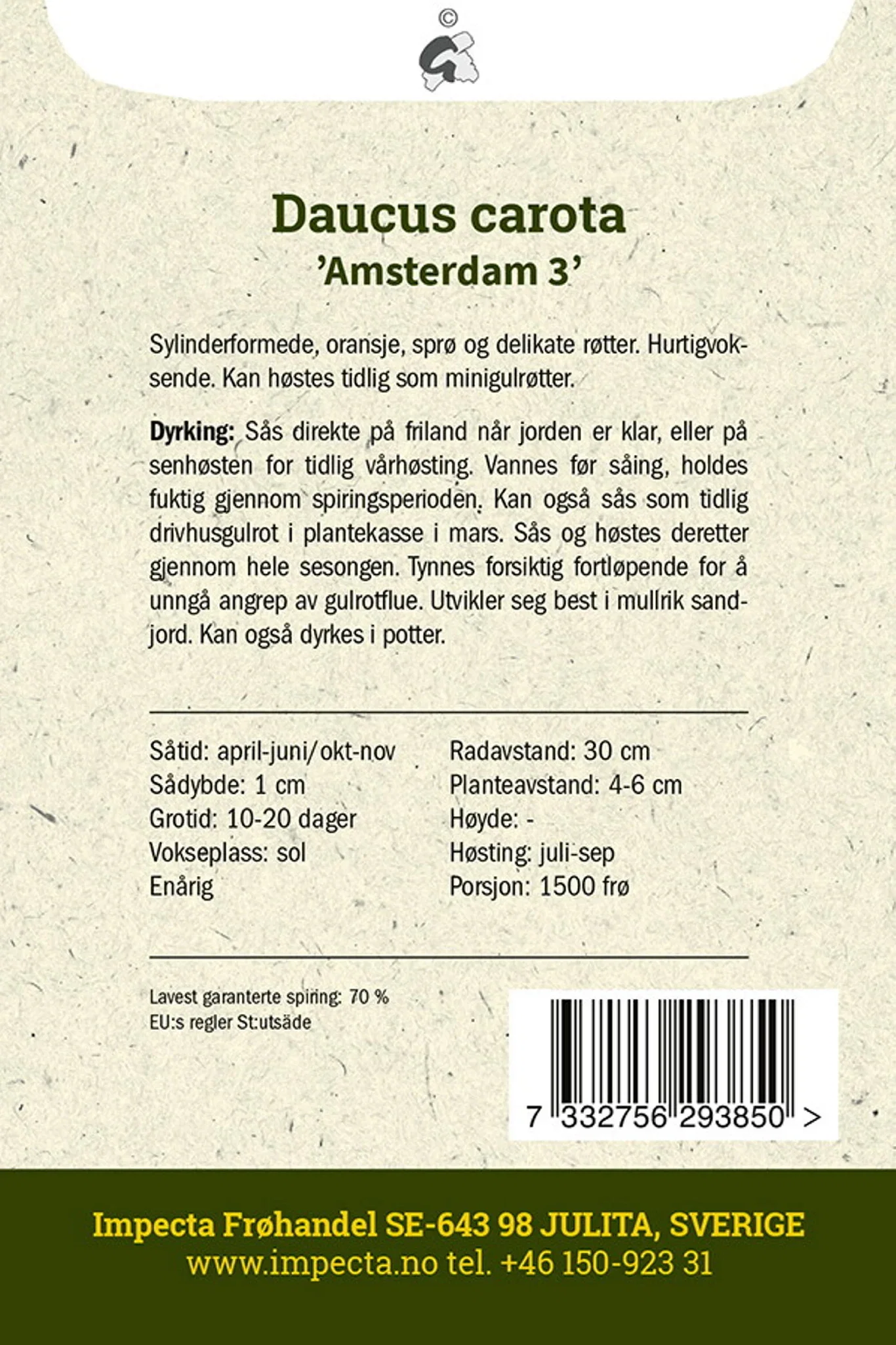 Daucus carota 'Amsterdam 3' Sommergulrot 'Amsterdam 3'