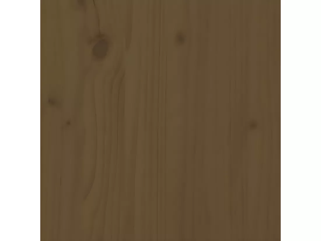 Support de moniteur Marron miel 60x24x10,5 cm Pin solide