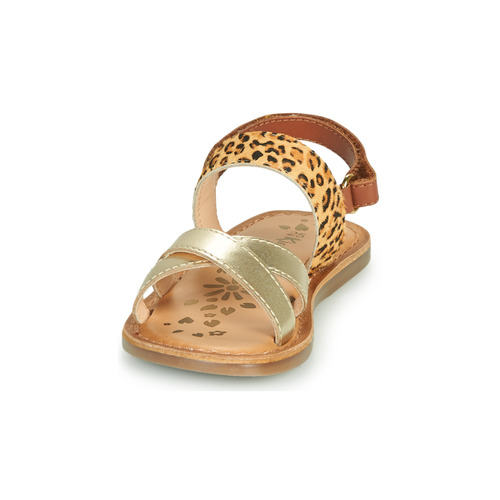 Kickers - DYACROSS - Doré / Leopard