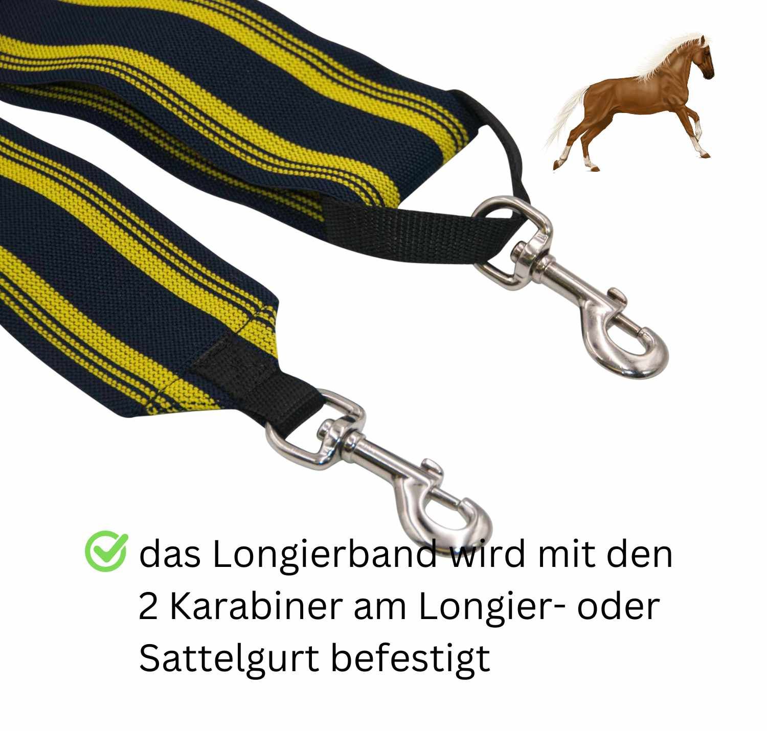 AMKA Longierband