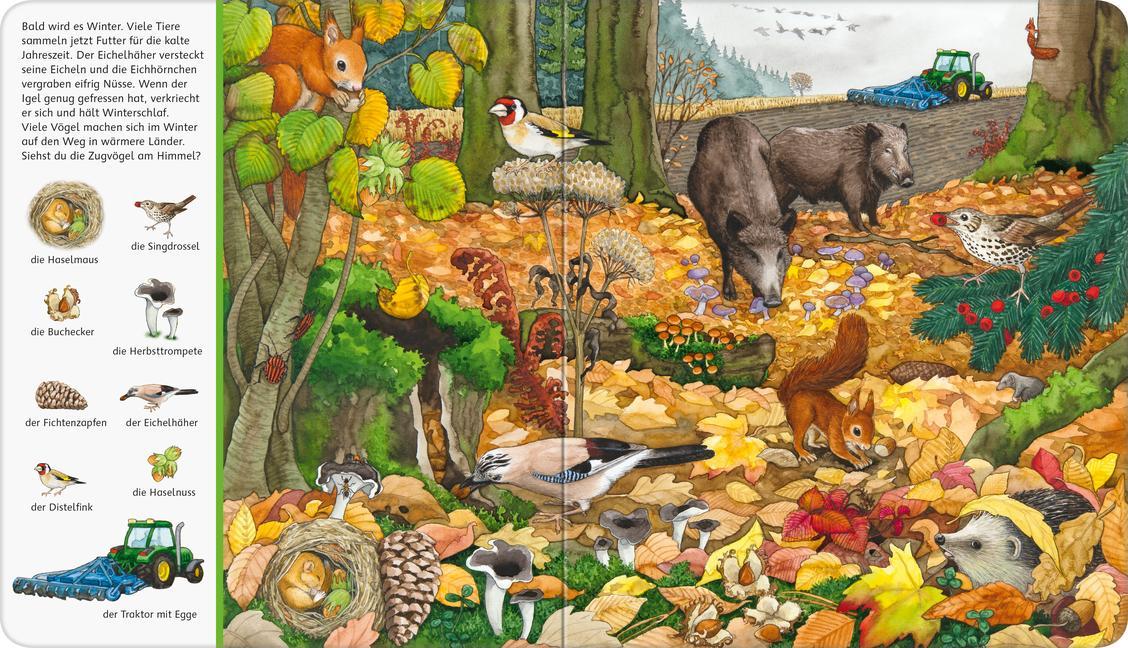 Mein großes Sachen suchen: Bei uns im Wald