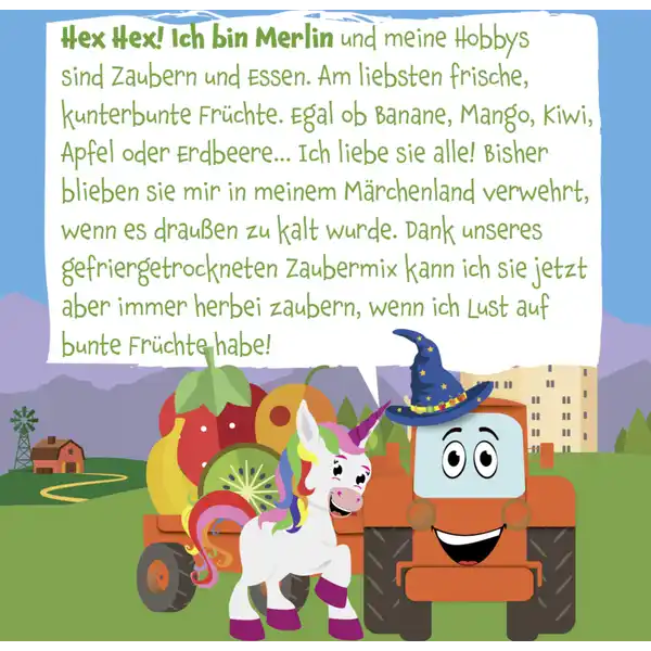 Bio Zaubermix Fruchtchips