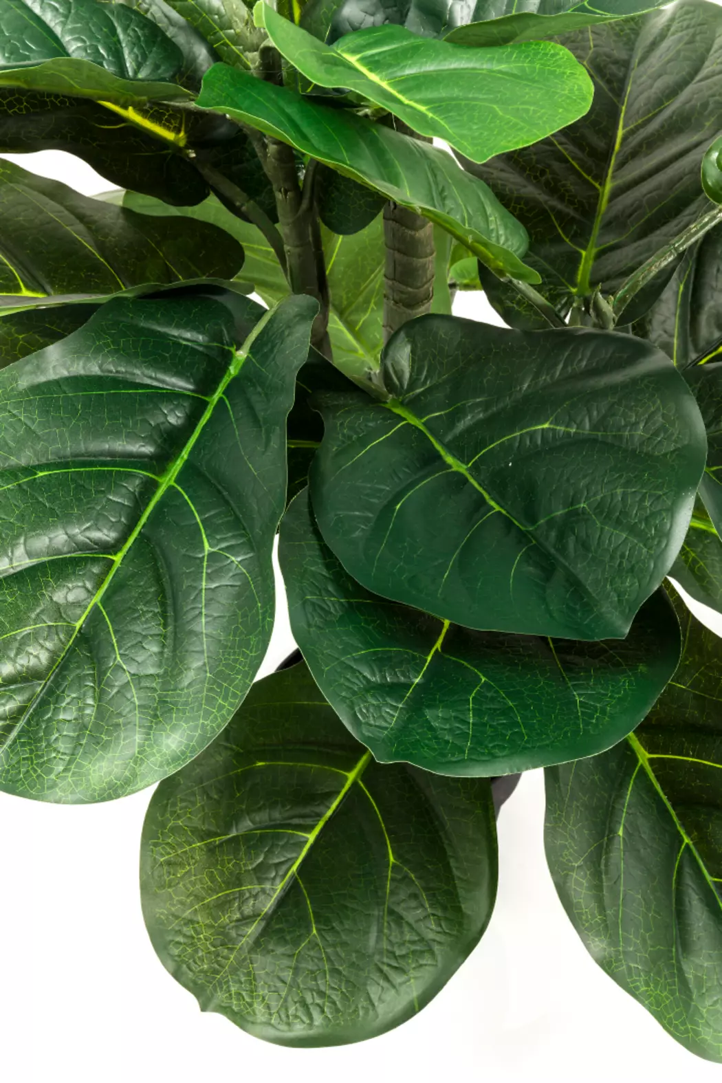 Kunstpflanze Fiddle Leaf 60723