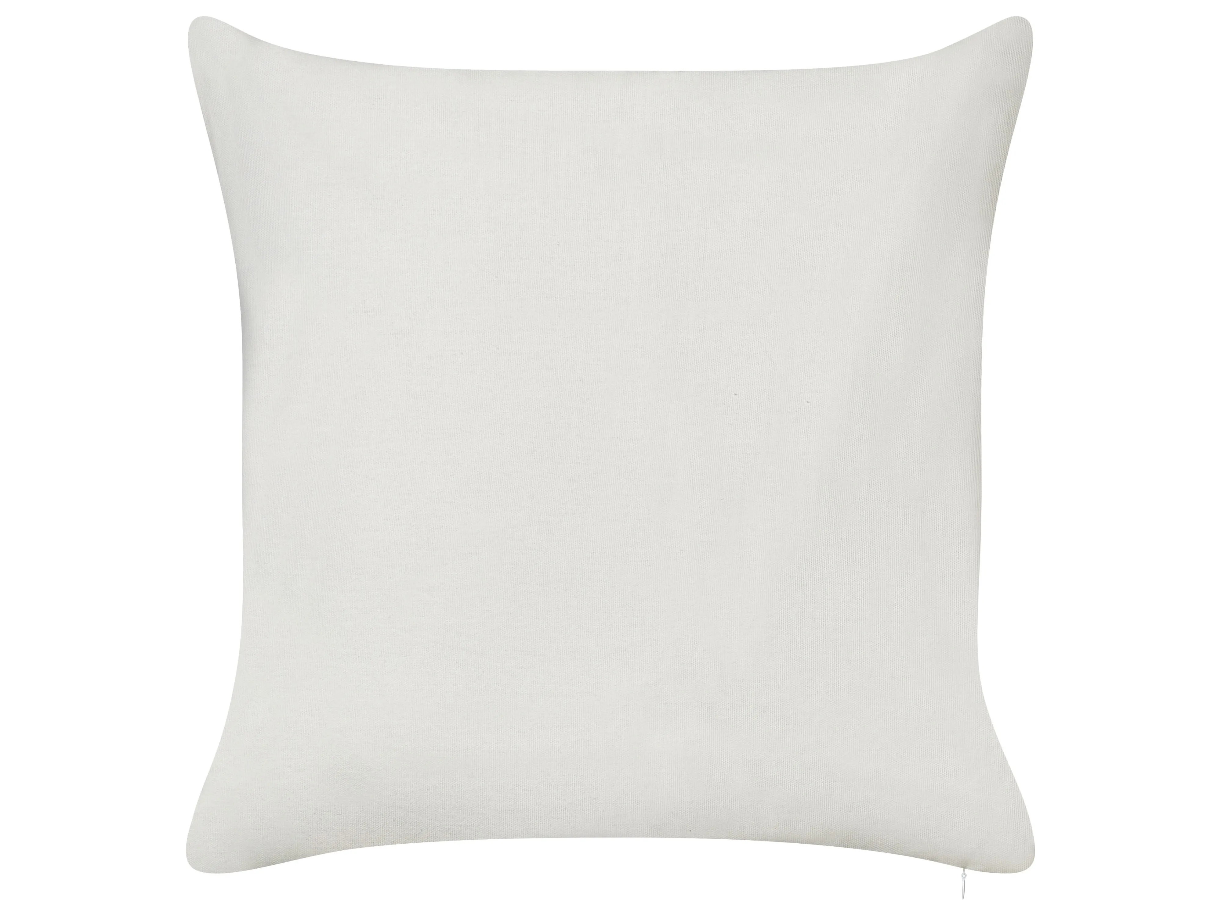 Set van 2 sierkussens ZALEYA Katoen 45 x 45 cm Wit bloempatroon