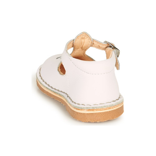 Aster - BIMBO - Blanc