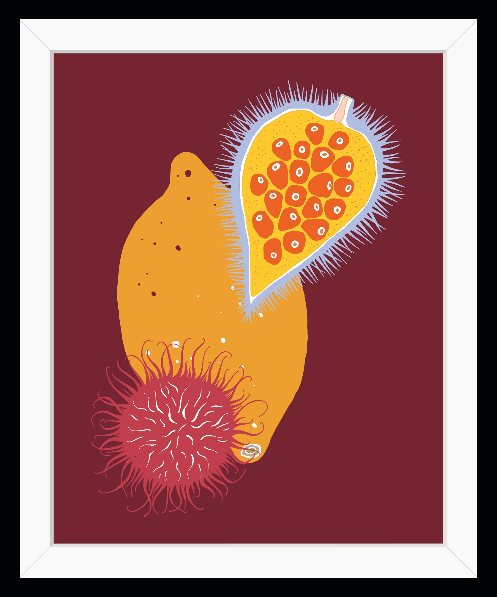 queence Bild »June« Kunst | Lebensmittel | Obst | Obst Bilder HD Premium Poster-Druck inkl. Holzrahmen