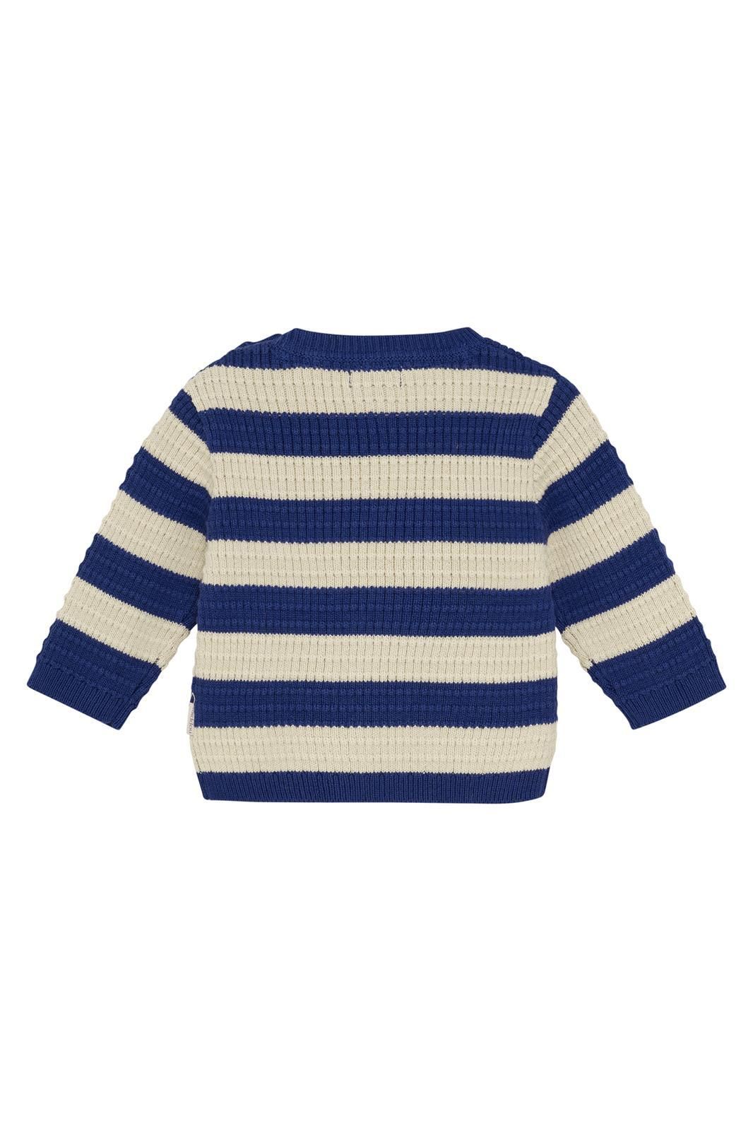 Noppies Baby Trui Segesta - Stripe Pattern Blue