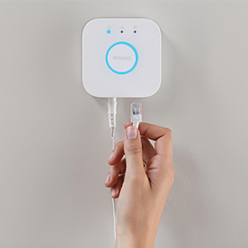 Philips Hue losse bridge