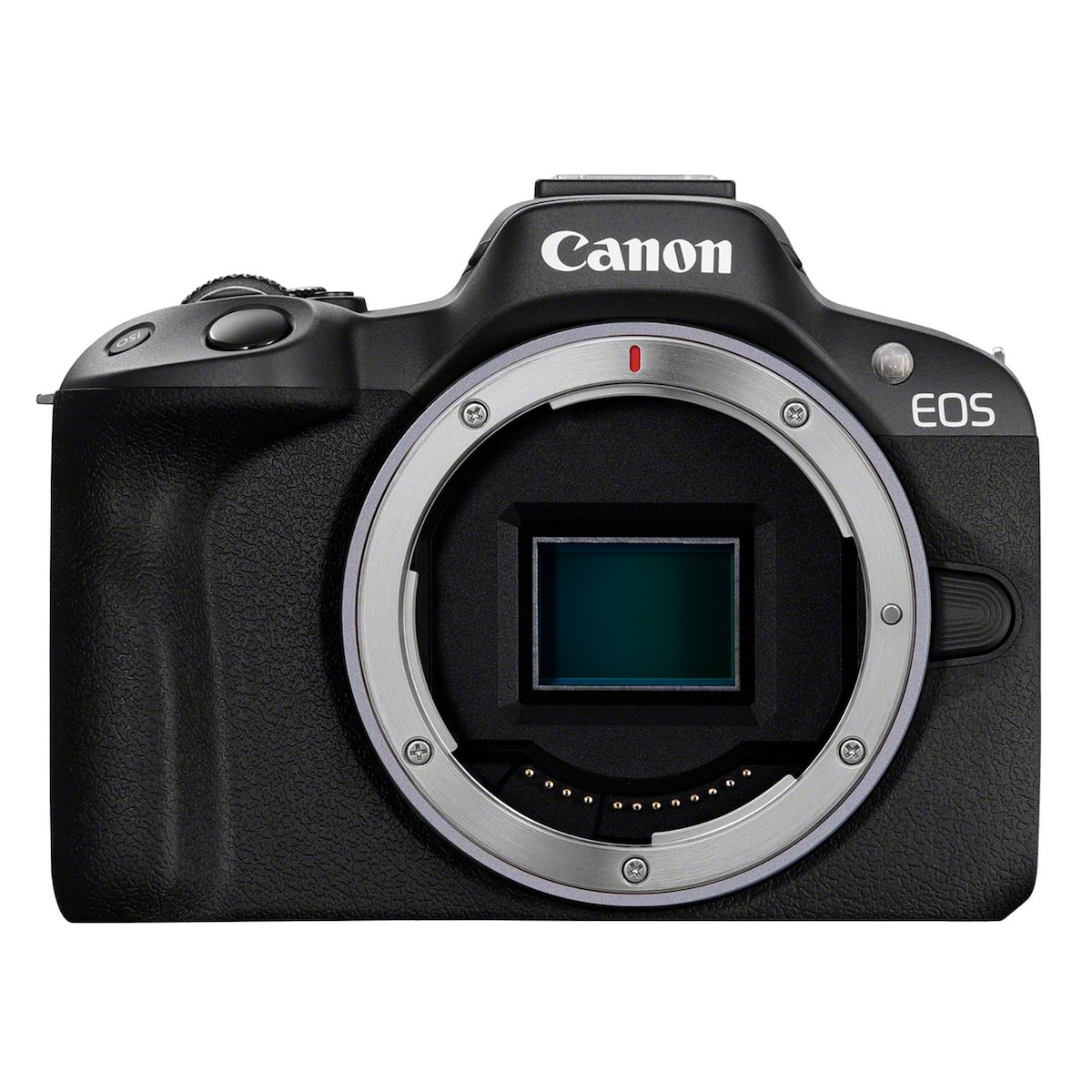 Canon EOS R50  RF-S 18-45mm f4.5-6.3 IS