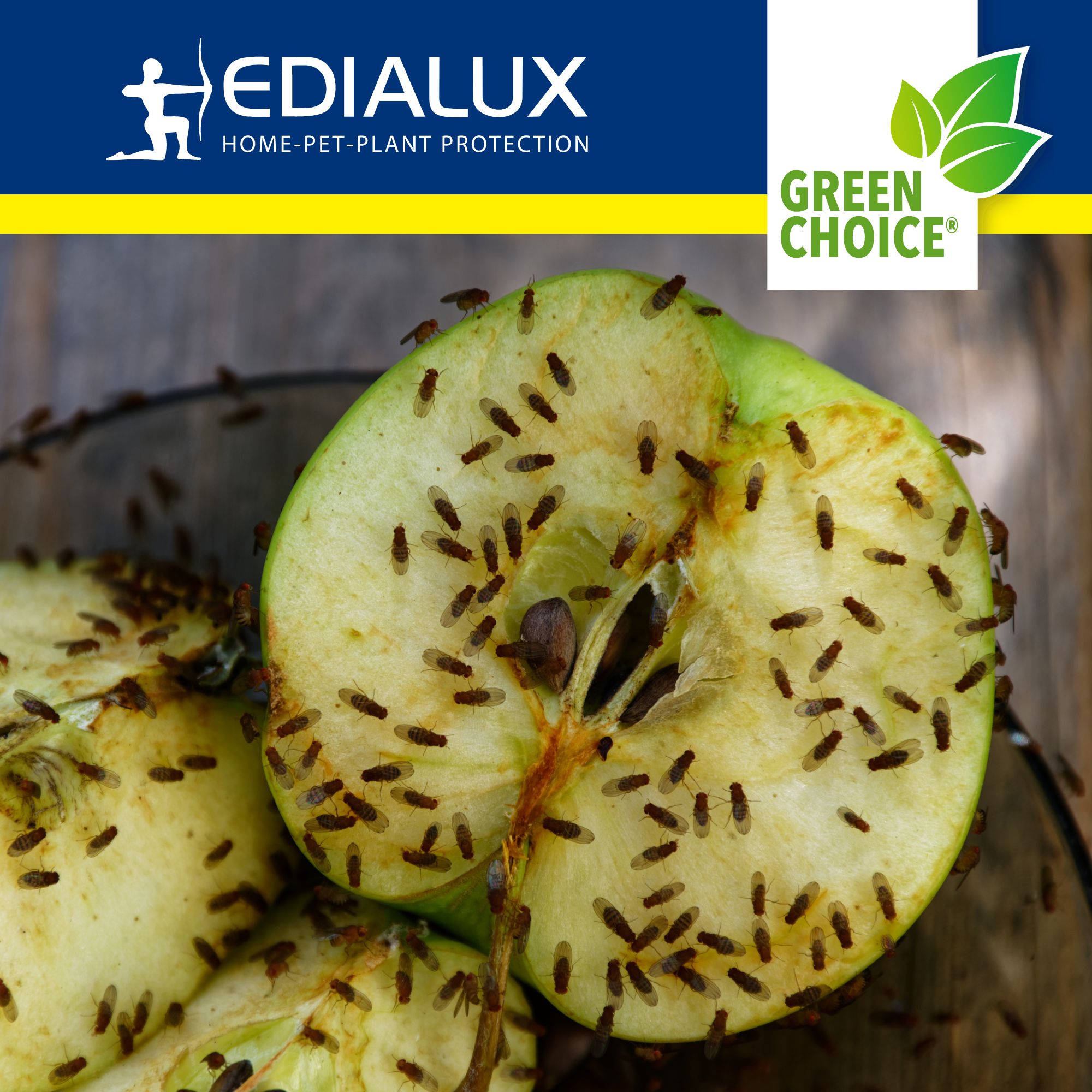 Green Choice fruitvliegenval met 2 lokmiddellen