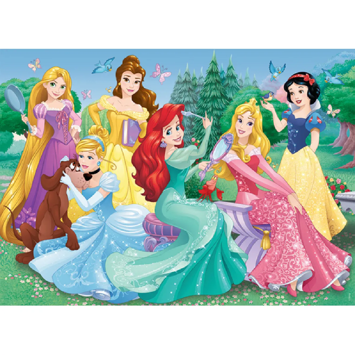 Nathan Disney Princesses