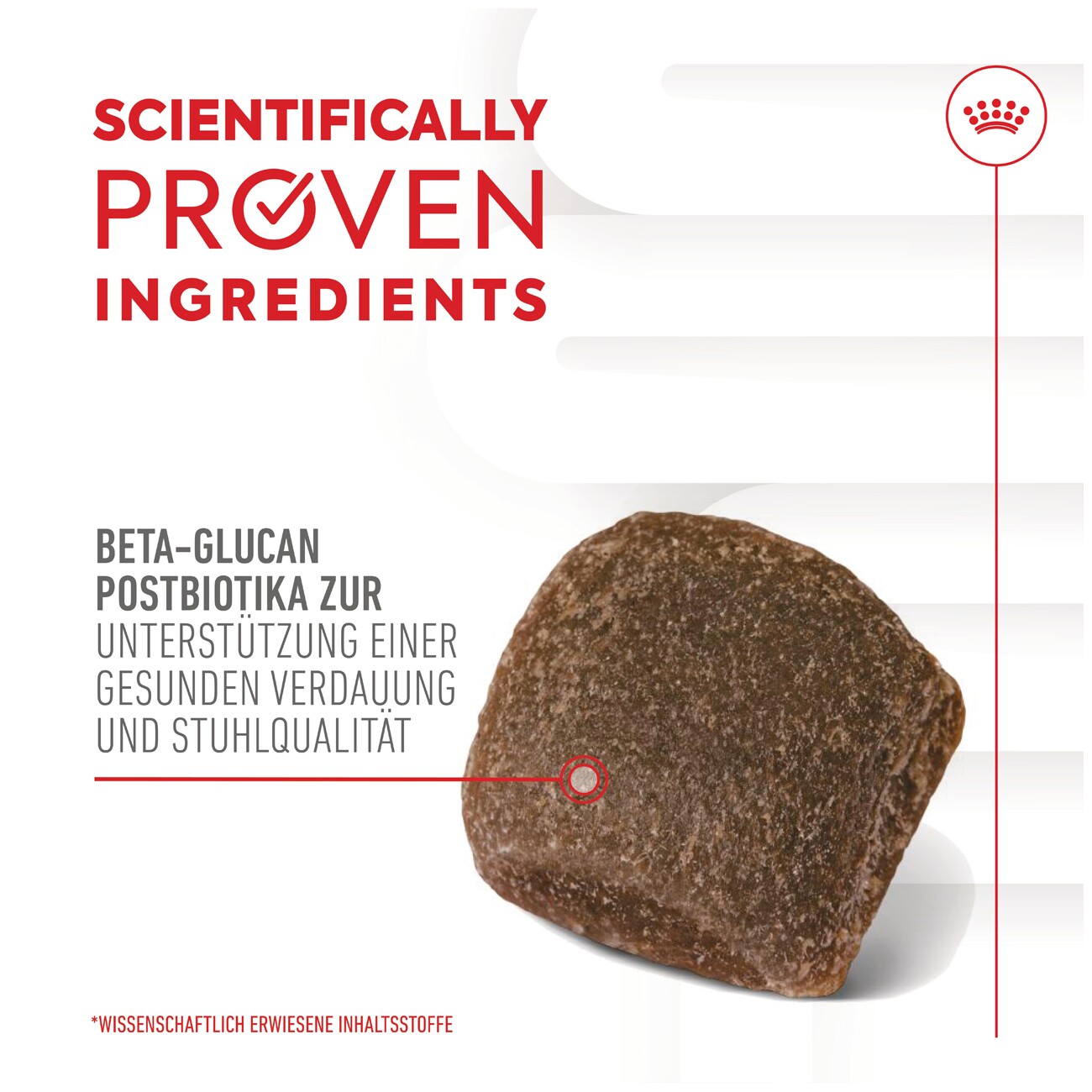 ROYAL CANIN Digestion Adult Supplements Kausnacks 160 g