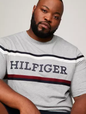 Camiseta Plus Hilfiger Monotype Global Stripe
