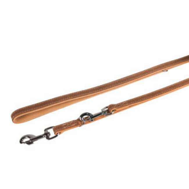 Laisse Entrainement Aurum Or Beige