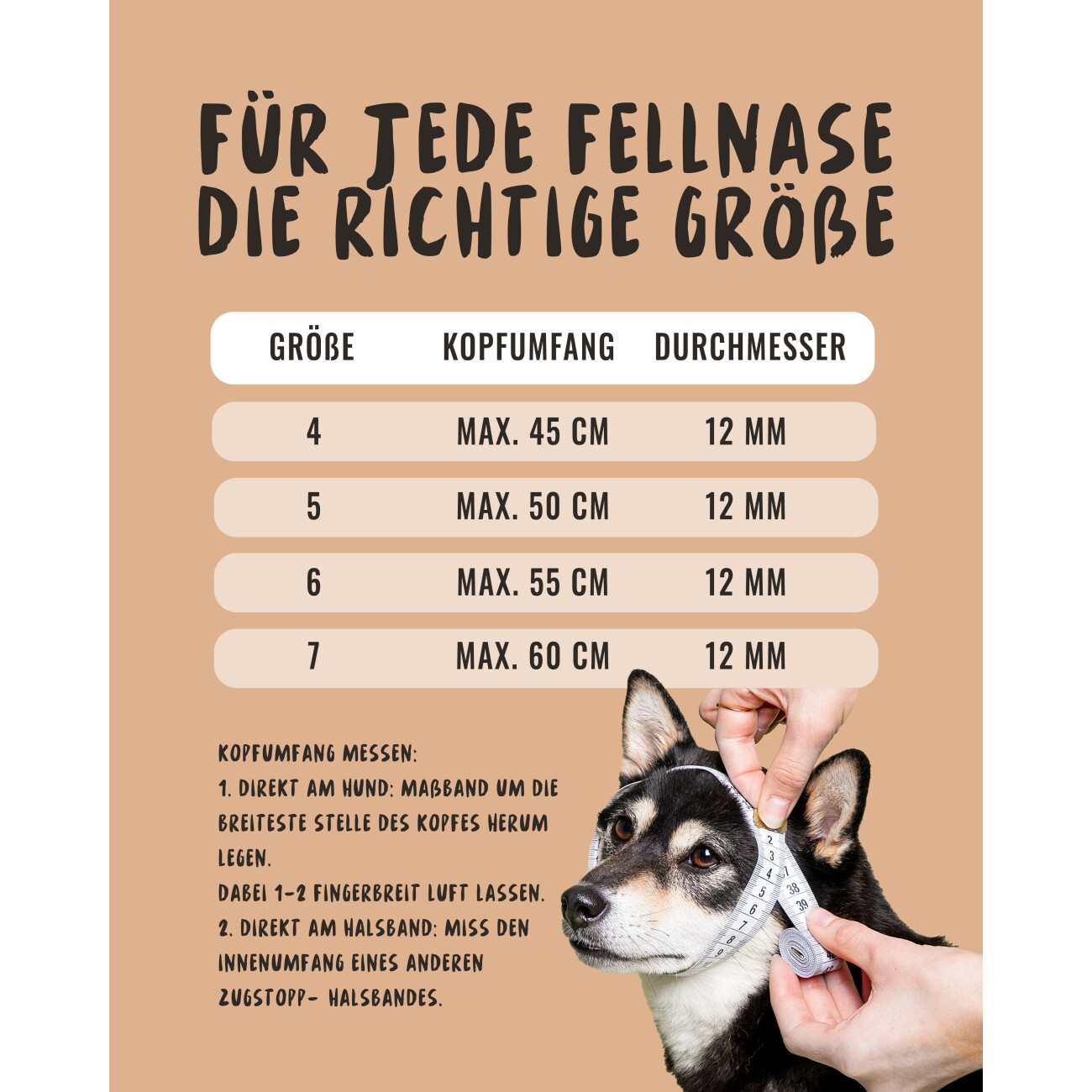 Rudelkönig Zugstopphalsband Emma - Retrieverhalsband grün 45 cm
