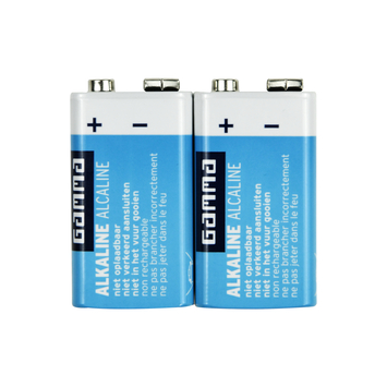 GAMMA Batterij Alkaline 9V 2 stuks