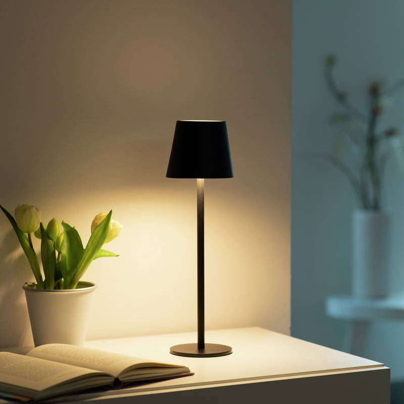 Just Light Tischleuchte EURIA