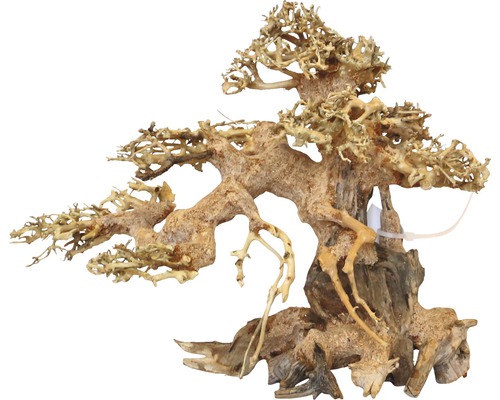 Aquariumdecoratie Aqua Bonsai S 15-20 cm